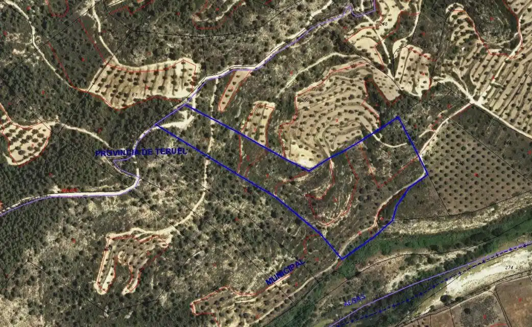 Terreni e lotti in vendita a PARTIDA MOLINO NUEVO, imagen 2