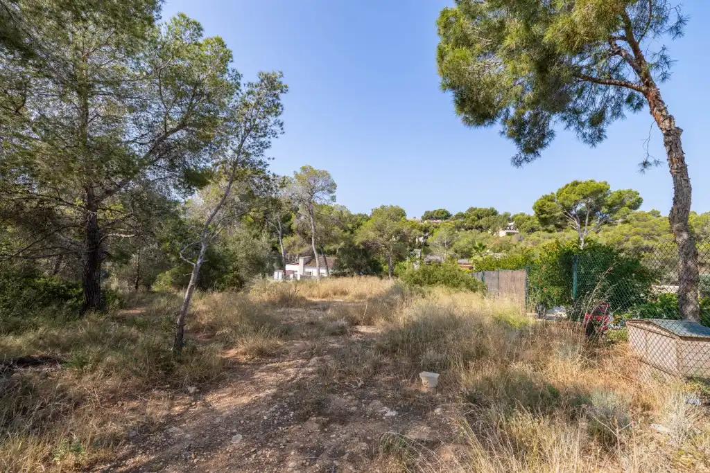 Rural land for sale in Cala Vinyes, imagen 5