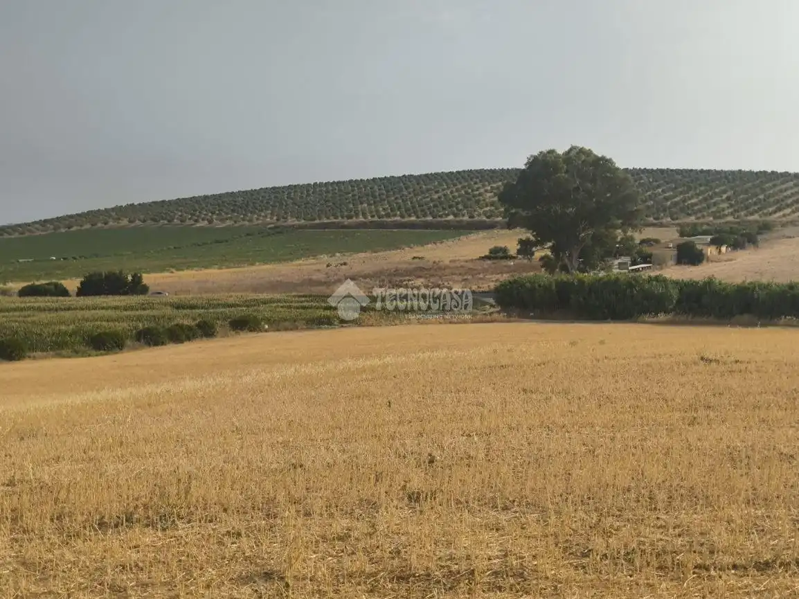Rustikales Grundstück zum Verkauf in Arcos de la Frontera, imagen 8