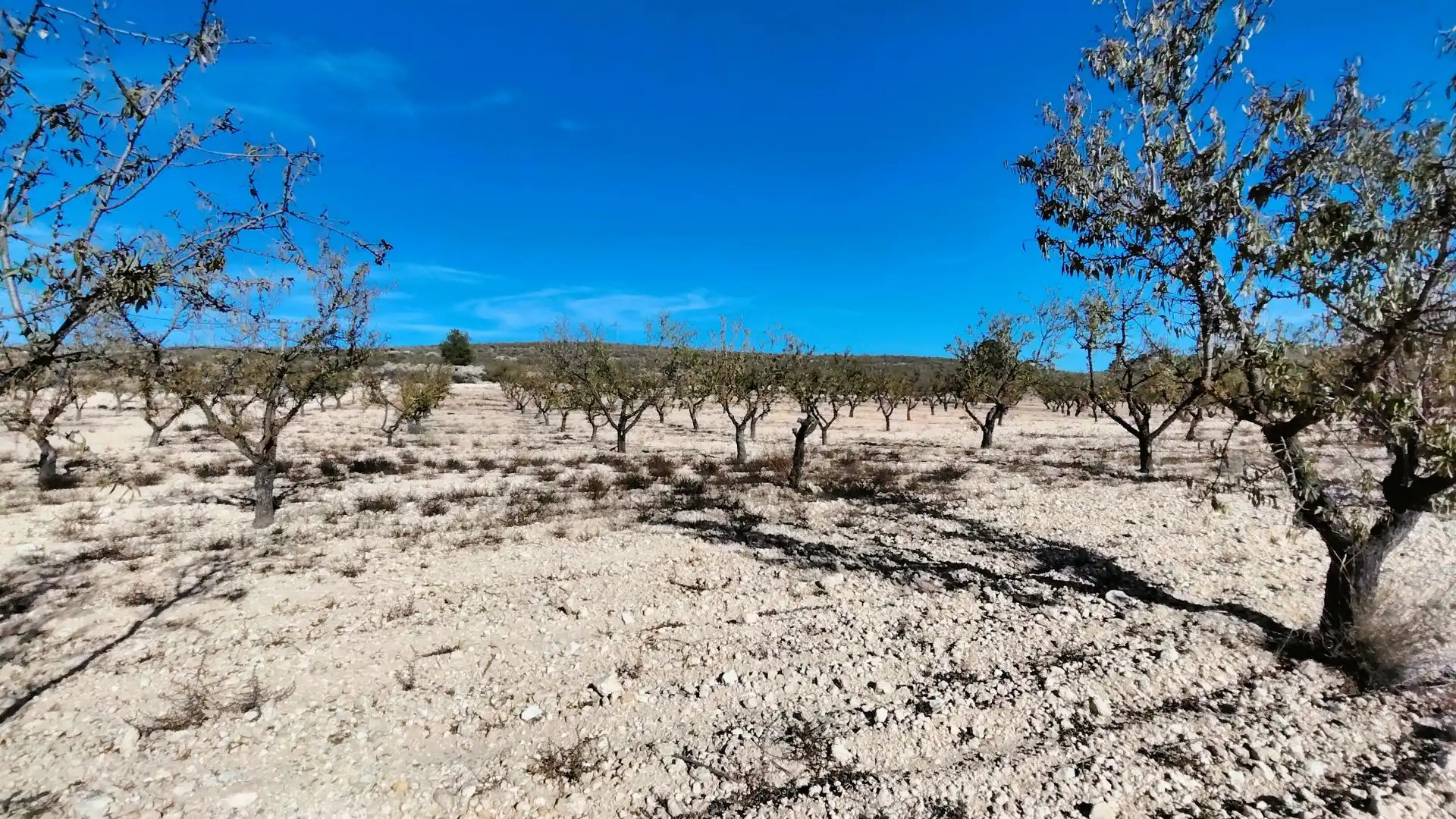 Lands and plots for sale in Abanilla, imagen 20