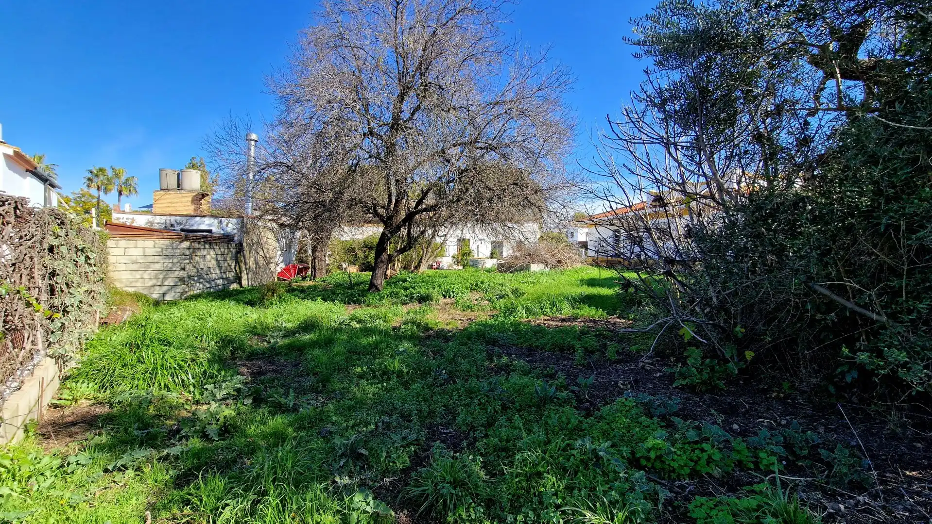 Casa o chalet en venta en Valencina de la Concepción