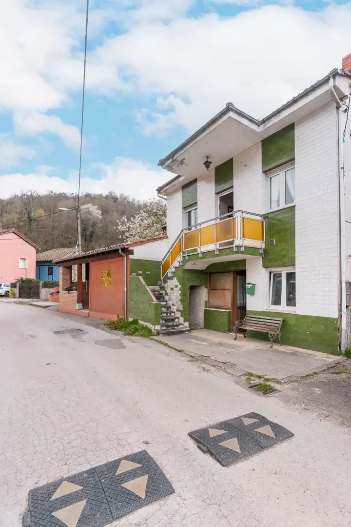 Vista exterior de Casa o xalet en venda en Laviana amb Calefacció, Jardí privat i Terrassa