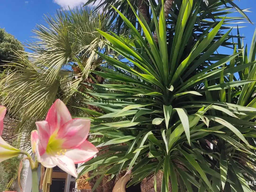 Xalet amb jardí en venda a RM-703 48, imagen 10
