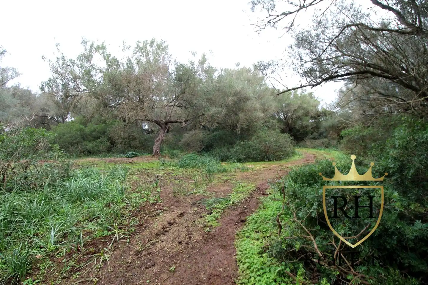Lands and plots for sale in POLIGONO 49 PARCELA 3, imagen 12