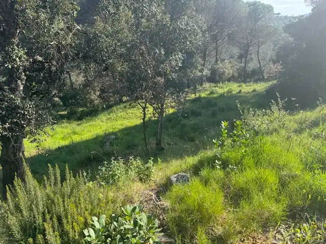 Terreno residencial en venta en Carrer l'Avet 456, imagen 15