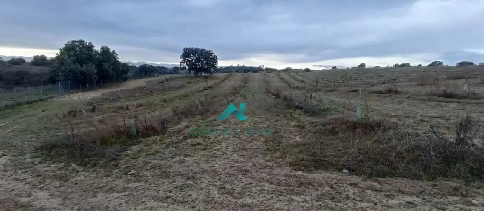 Rural land for sale in Villamanta, imagen 3
