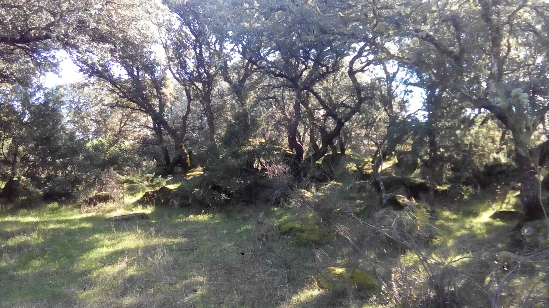 Terreni e lotti in vendita a Fresnedilla