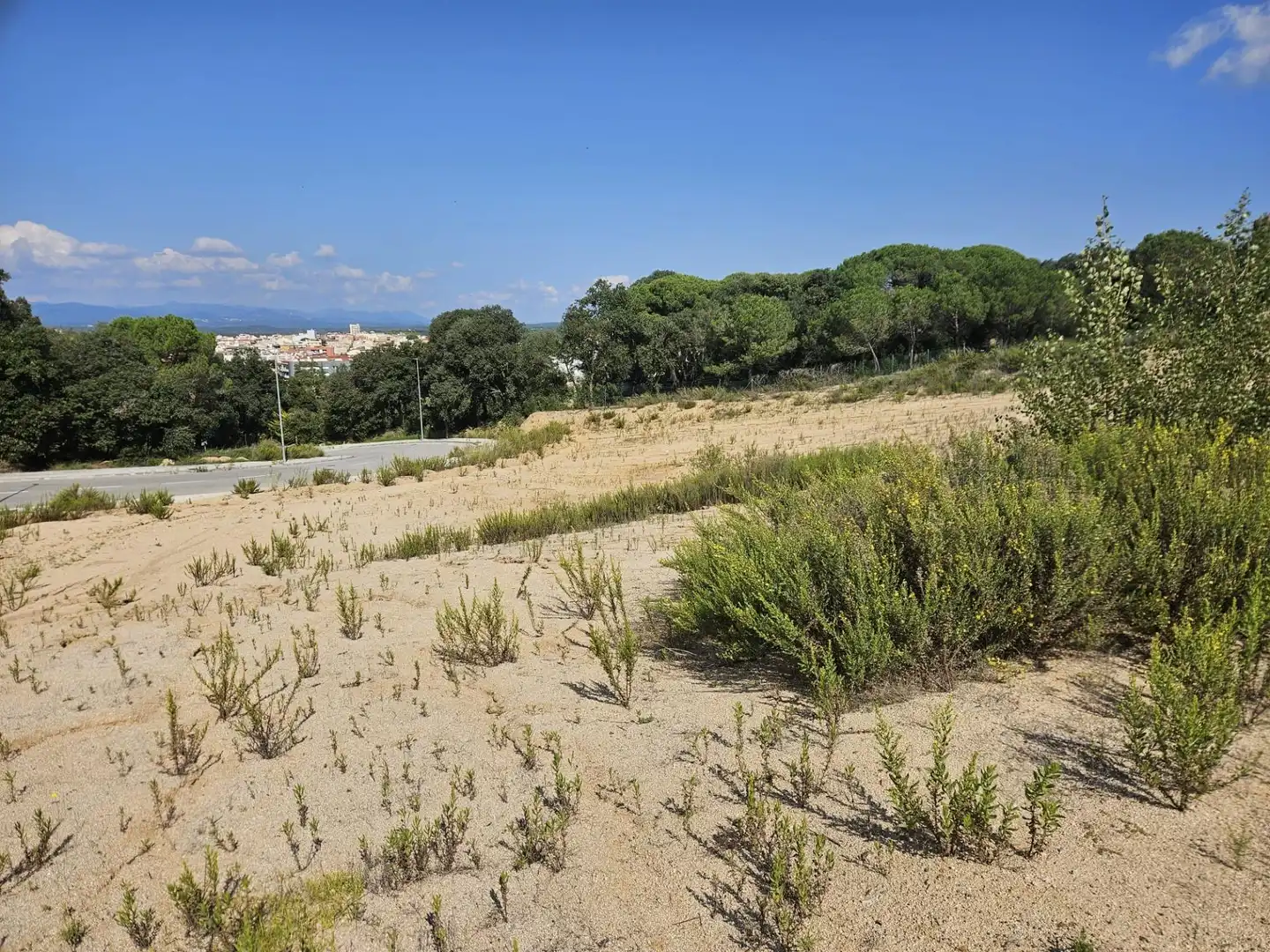 Terrenos y solares en venta en Palafolls