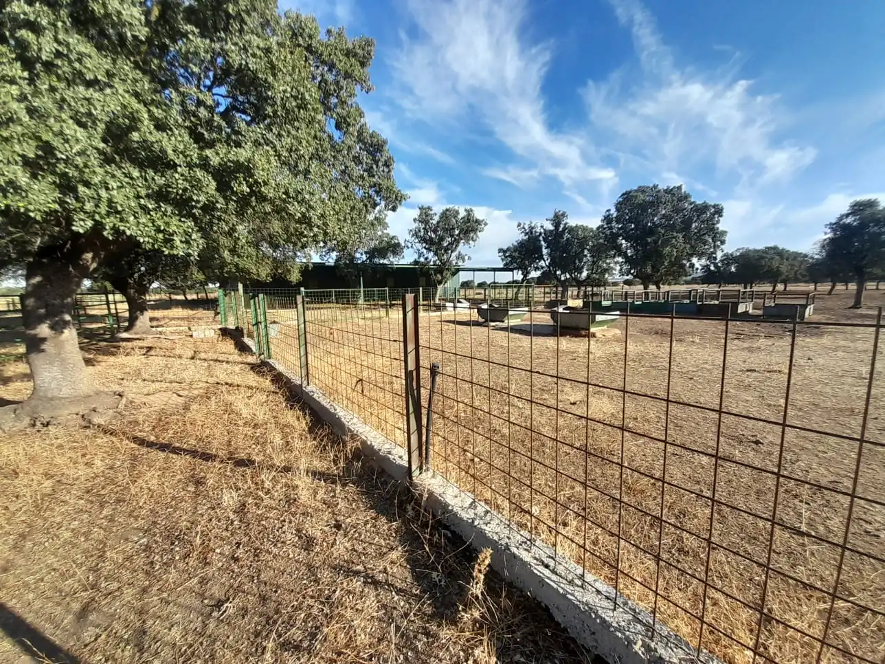Finca rústica en venta en Almodóvar del Campo con Aire acondicionado y Calefacción