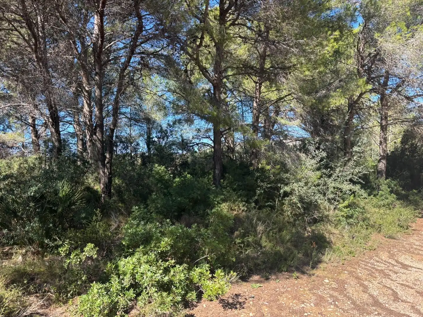 Residencial en venta en L'Ametlla de Mar 