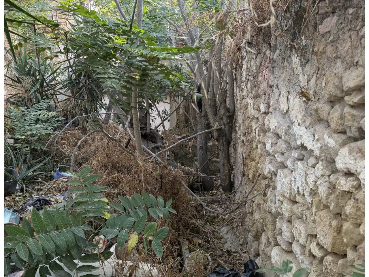 Wohnbaugrundstück zum Verkauf in Calle Labrador, imagen 4