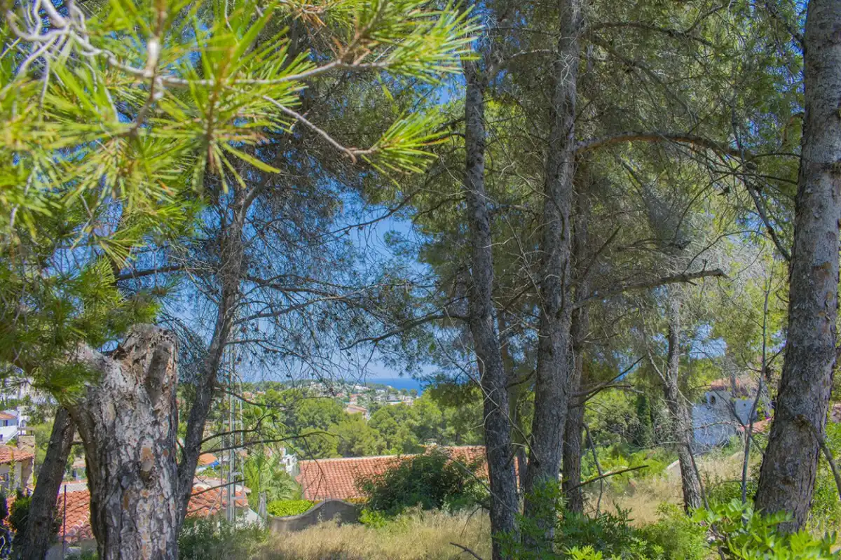 Wohnbaugrundstück zum Verkauf in La Fustera, imagen 12