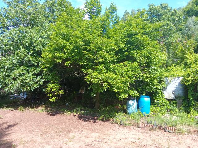 Terreno en Venta en Camí del Mas Terrós, 3 en Barri Mion - Puigberenguer