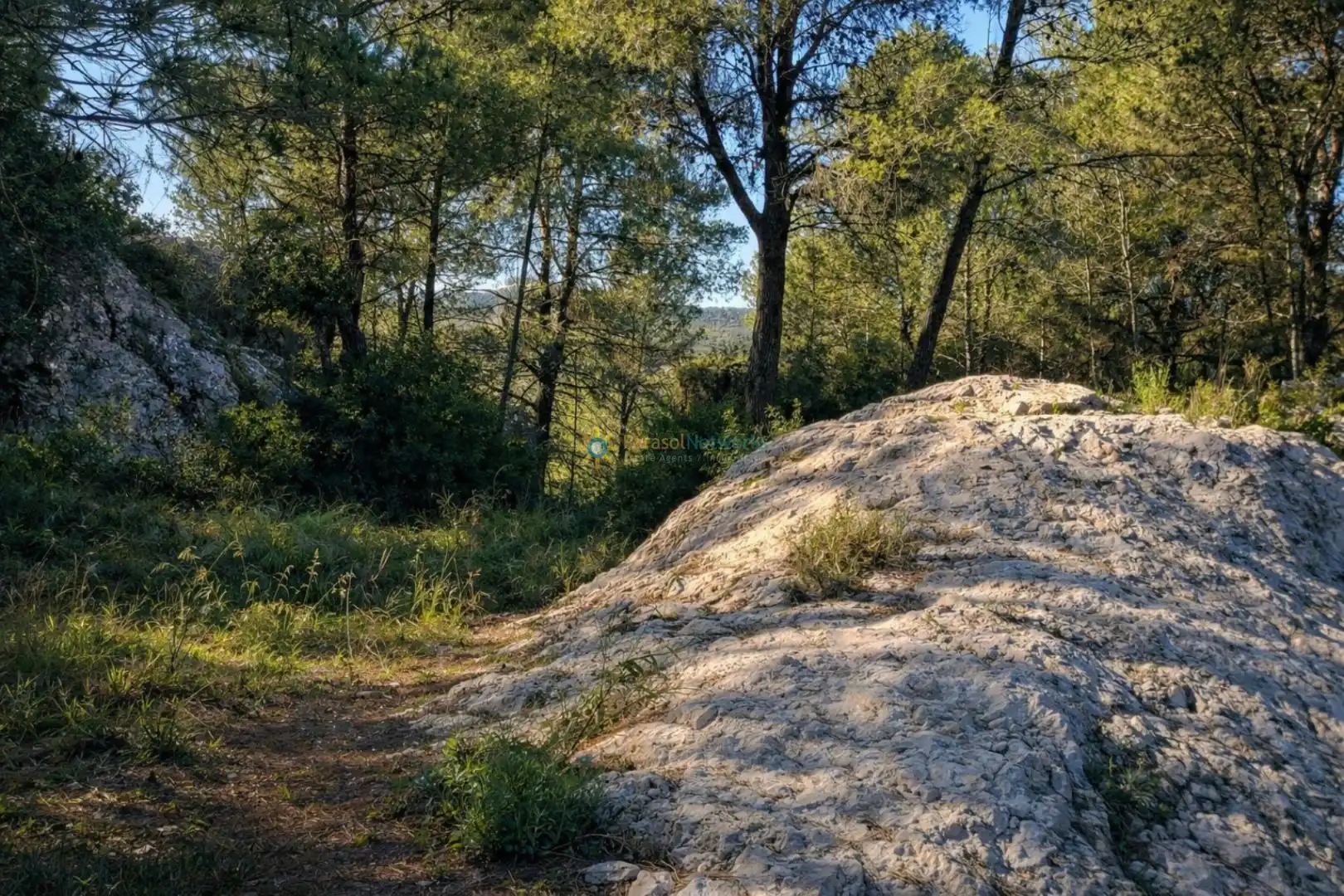 Finca rústica en venda en Muro de Alcoy amb Jardí privat i Traster