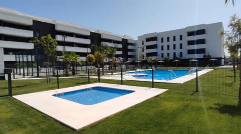 Foto 4 de Piso de alquiler en Hospital Virgen Macarena, 12, San José de la Rinconada, La Rinconada