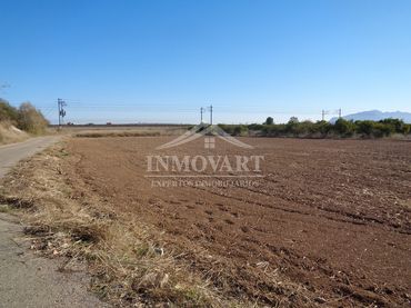 Terreno rustico in vendita a Algemesí