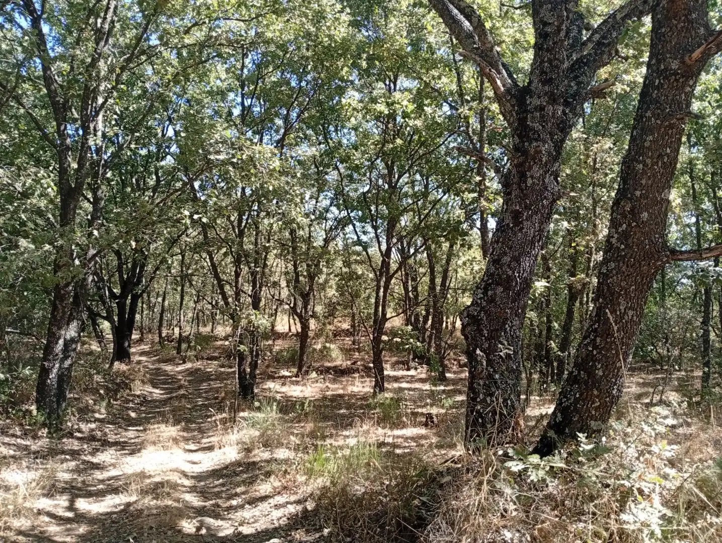 Terreni e lotti in vendita a Villanueva de la Vera, imagen 113