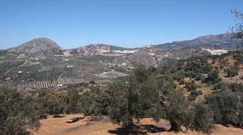 Venta de Finca de Turismo Rural en la Via Verde de la Sierra de Cádiz, immagine 4