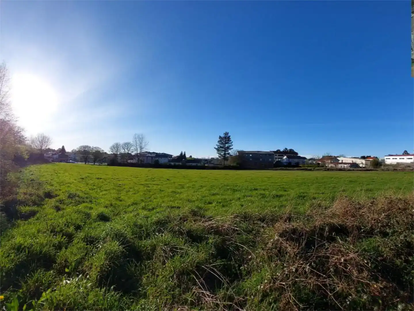 Land for sale in Curtis