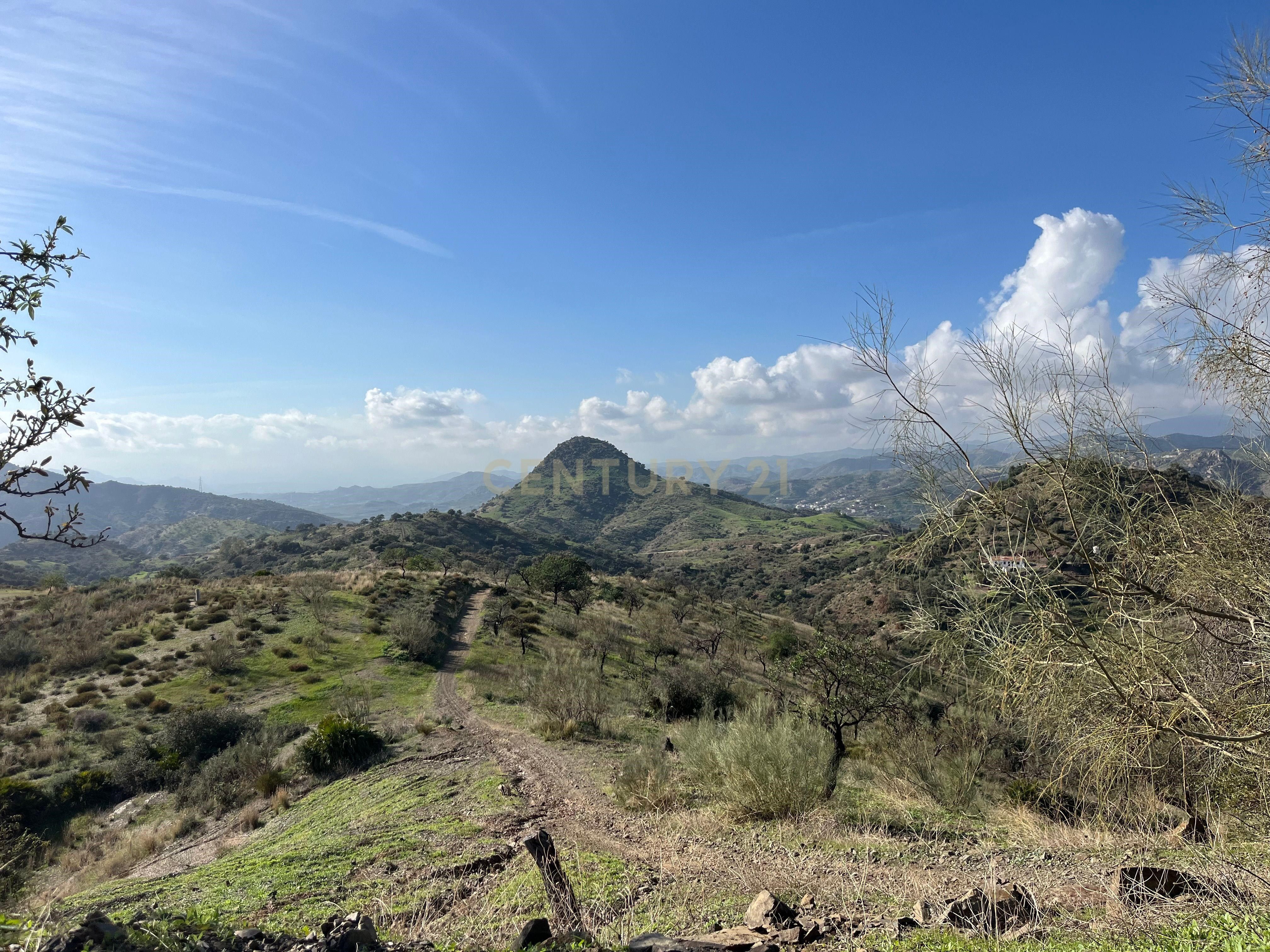 House or chalet for sale in El Cortijuelo