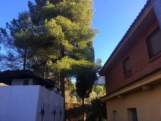 Local commercial à vendre à Tivissa, imagen 3