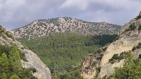 Finca Rúst. en venta en La Nava y Lapa.