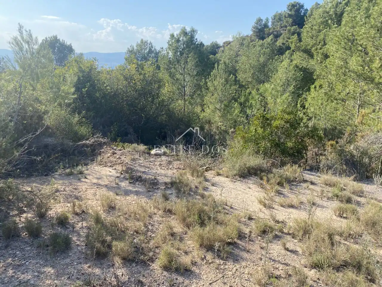 Rural land for sale in 18 parcela 79, imagen 4