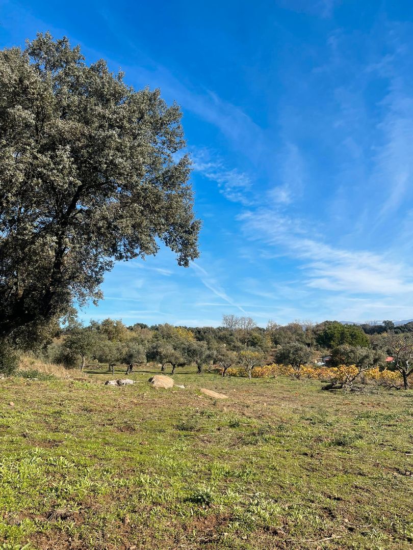 House or chalet for sale in Plasencia  with Private garden and Furnished