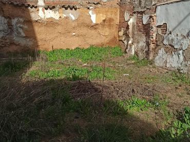 Terreni e lotti in vendita a Peñarroya-Pueblonuevo
