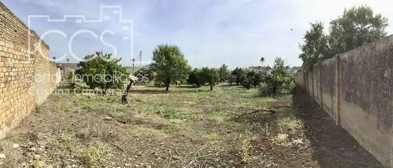 Terreni e lotti in vendita a Olivares, imagen 19
