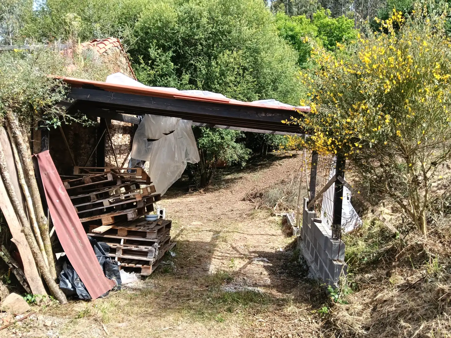 Maison avec jardin à vendre à Cesuras, imagen 8