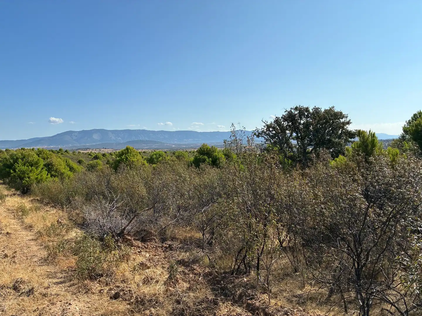 Rural land for sale in Puerto de San Vicente, imagen 6