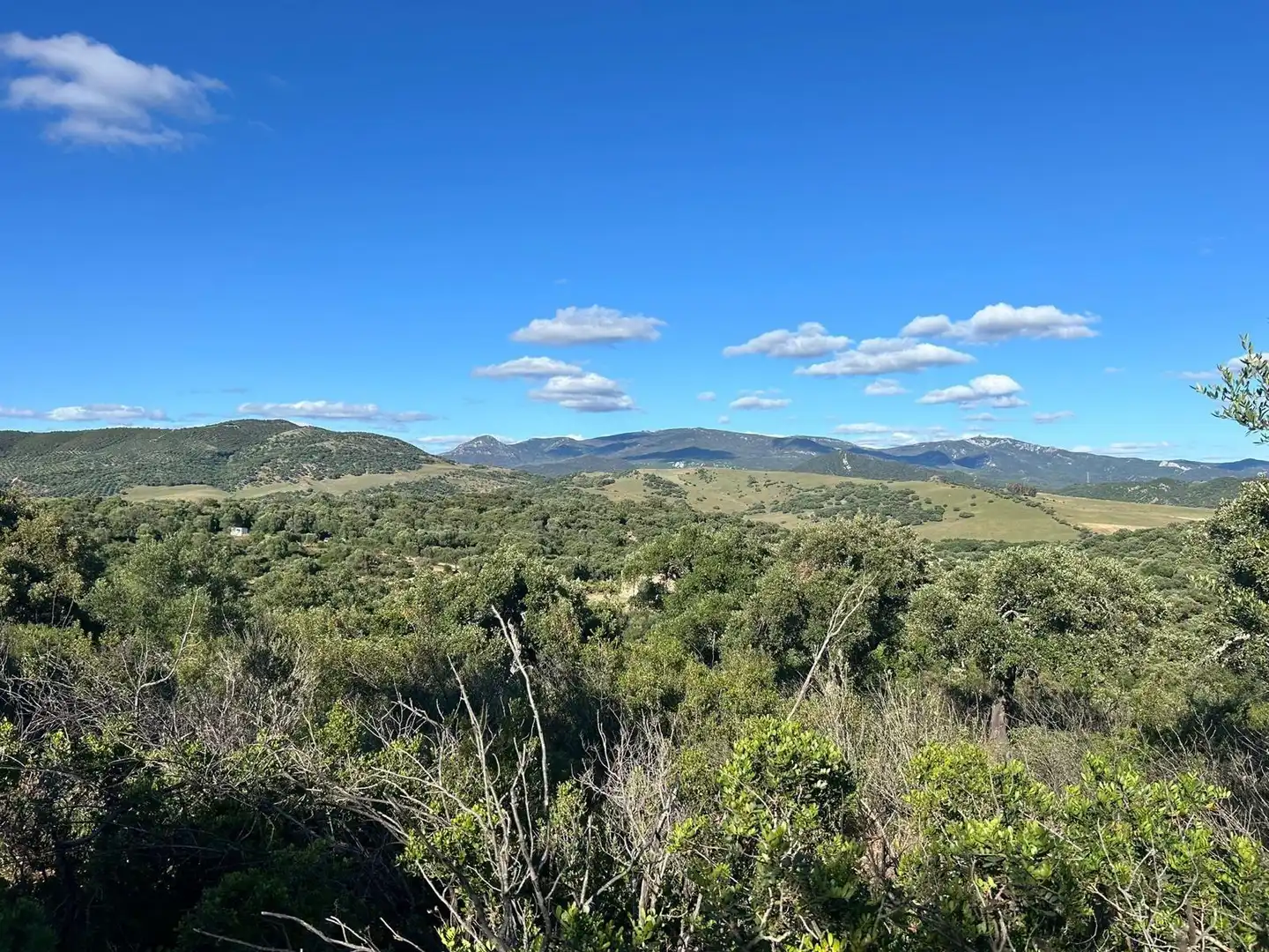 Country homes for sale in Alcalá de los Gazules  with Terrace