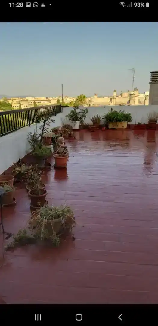 Terrasse von Dachboden zur Miete in  Palma de Mallorca mit Möbliert, Ofen und Waschmaschine