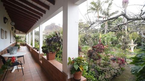 Foto 2 de Finca rústica en venda a Calle la Caridad, Tacoronte - Los Naranjeros, Santa Cruz de Tenerife