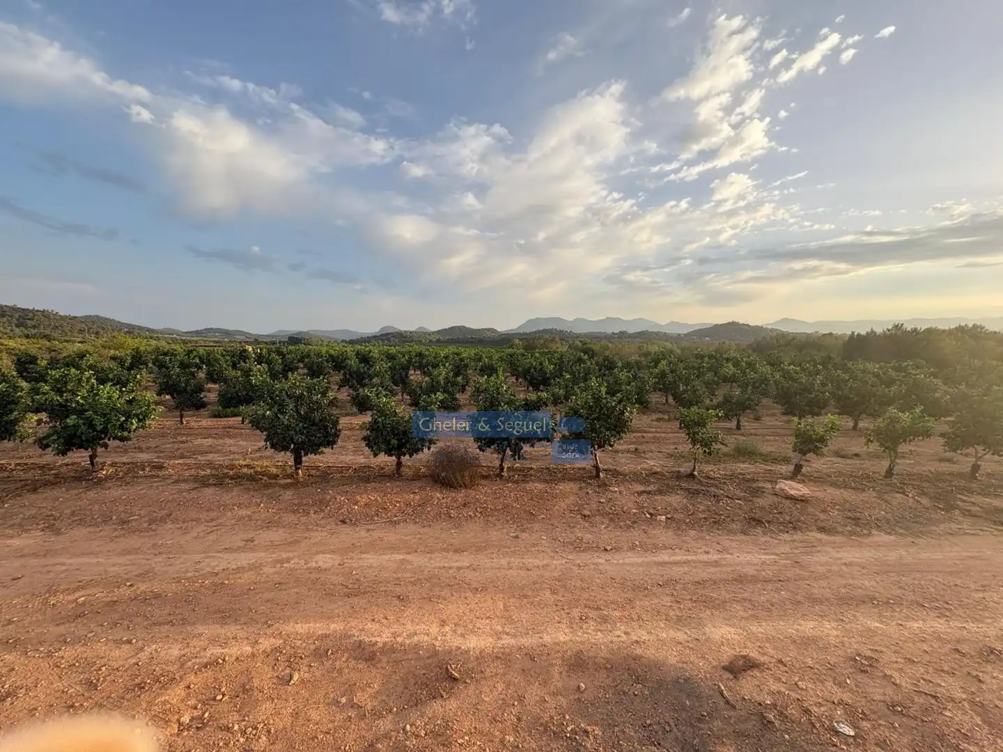 Terrenos y solares en venta en Algímia de Alfara, imagen 3
