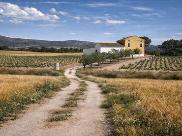 Casa rústica amb jardí en venda a El Mercado - Plaza de Toros