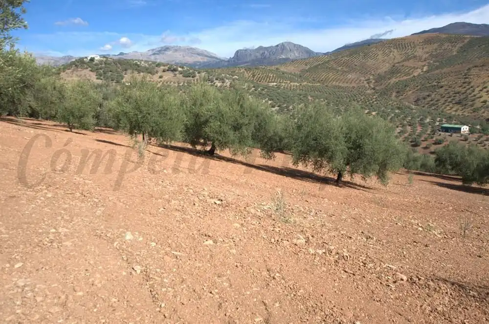 Terreno en venta en Cútar, Málaga