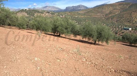 Foto 4 von Grundstücke zum Verkauf in Cútar, Málaga