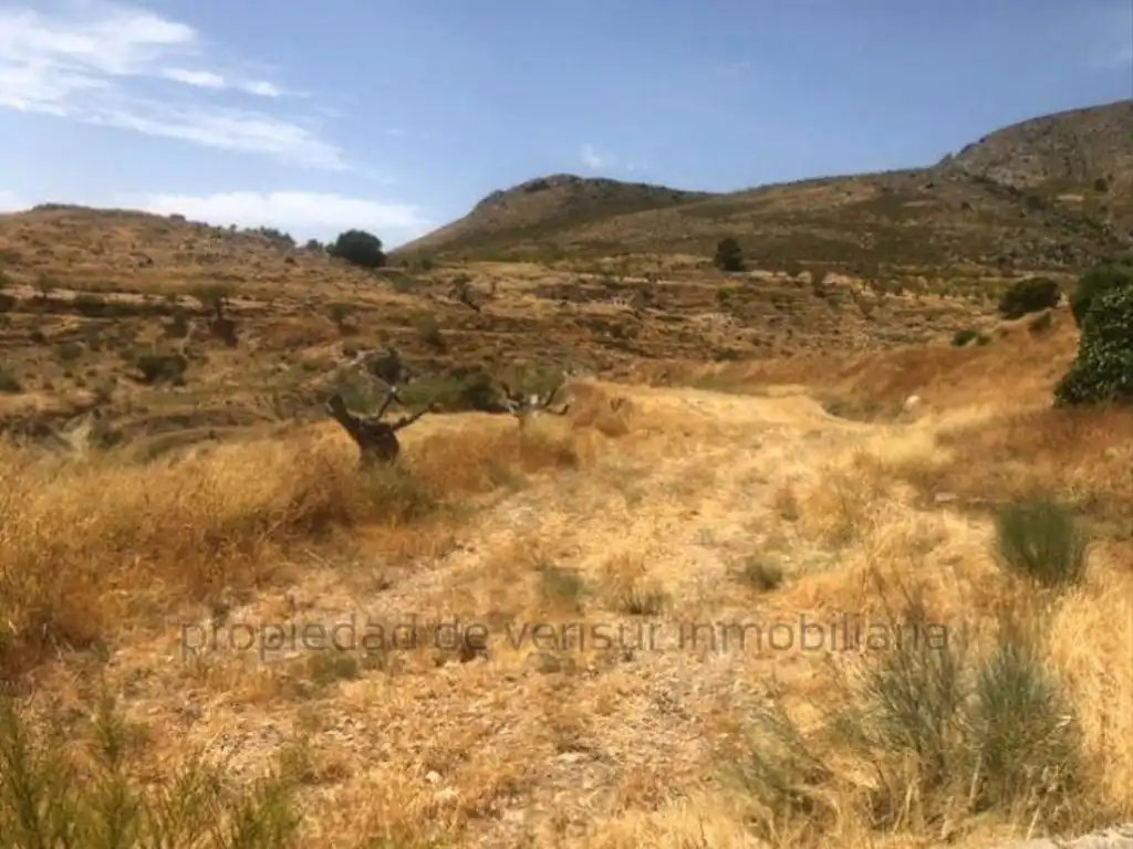 Terreno rustico in vendita a Poligono 248 Paraje 1423 Fontanar, imagen 3