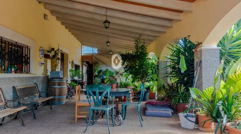 Finca Son Garreta a la venta en Campanet, Mallorca., imatge 4