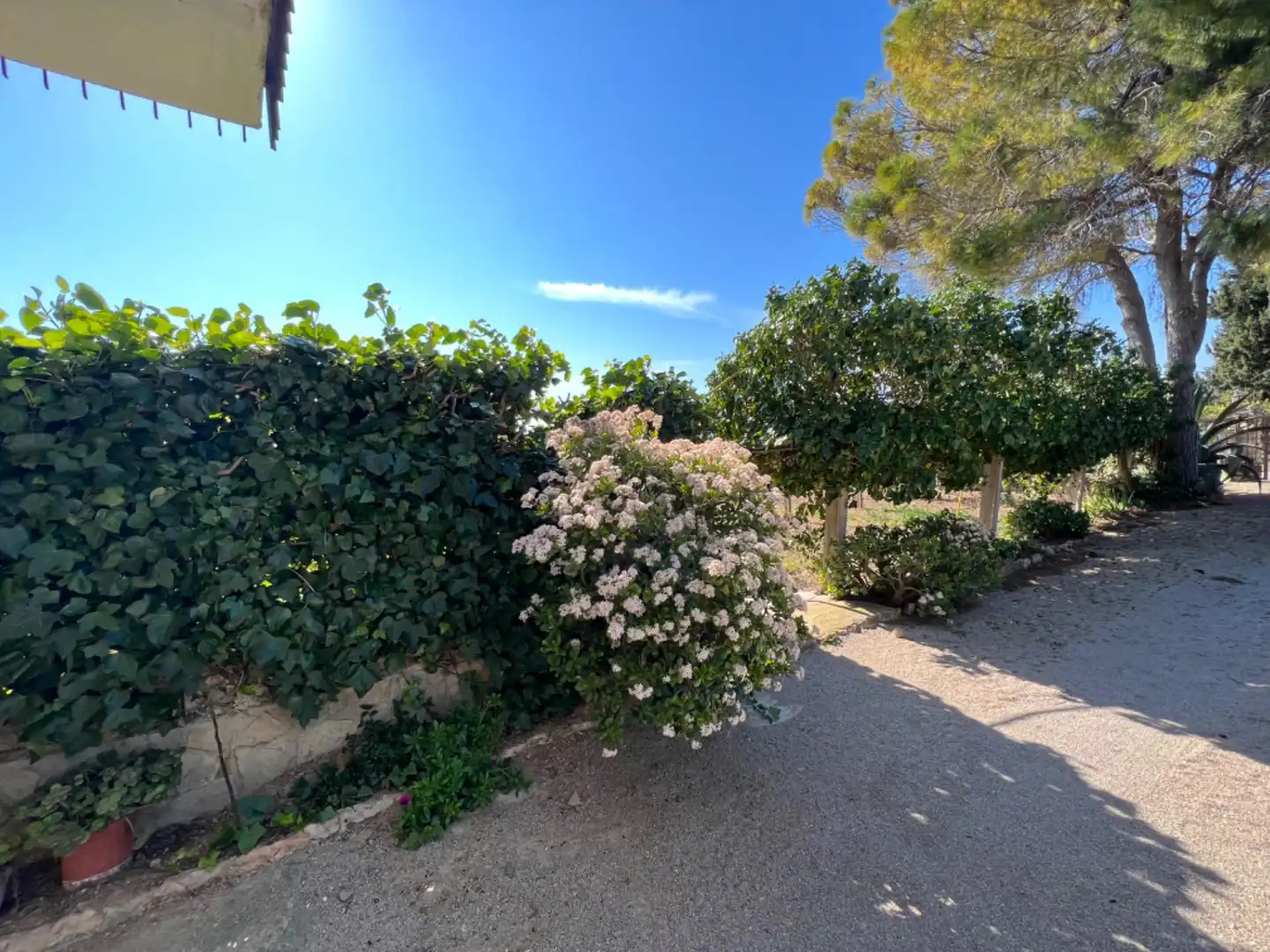Casa con terrazza in vendita a L'Aldea, imagen 41