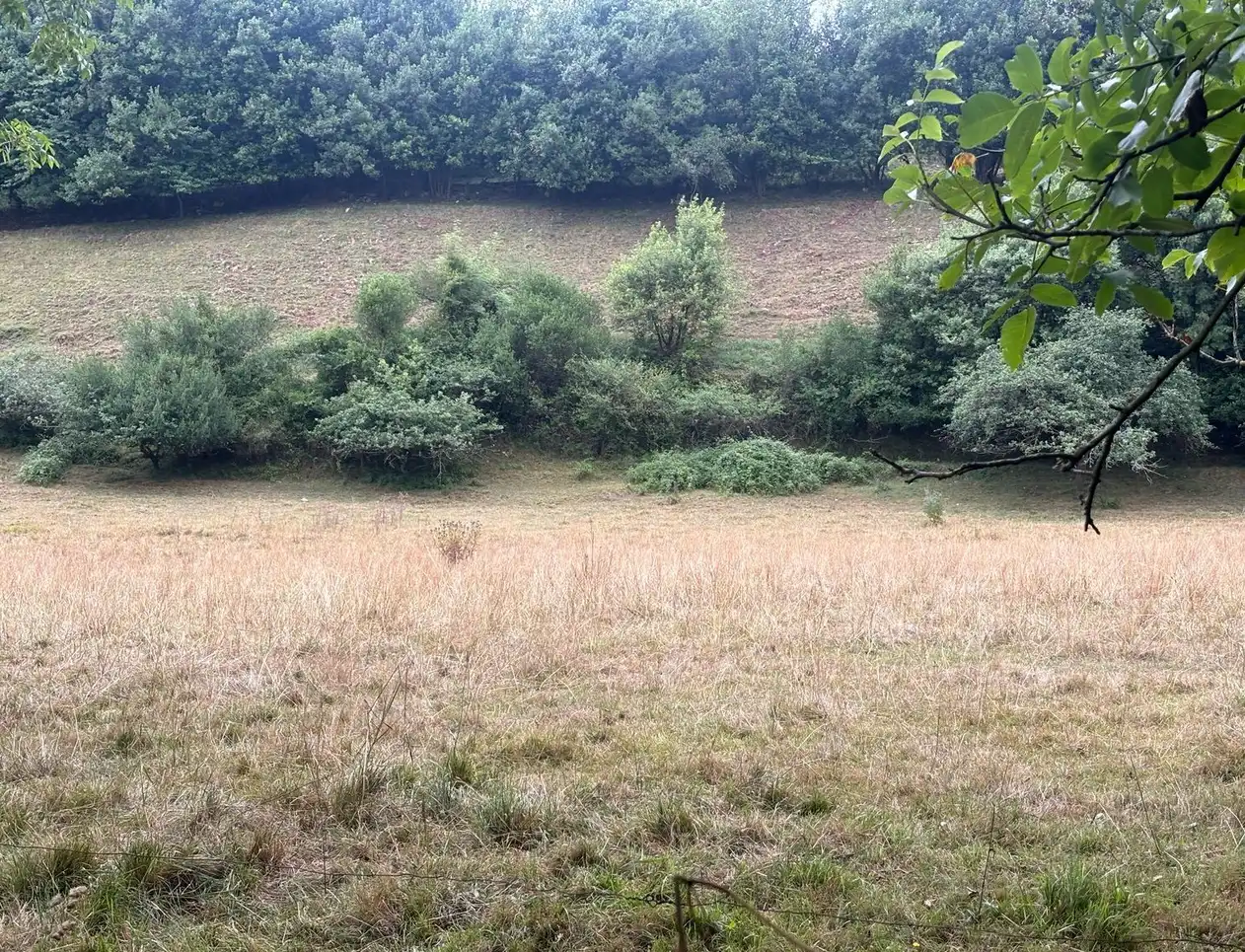 Finca rústica en venda en Gijón  amb Jardí privat