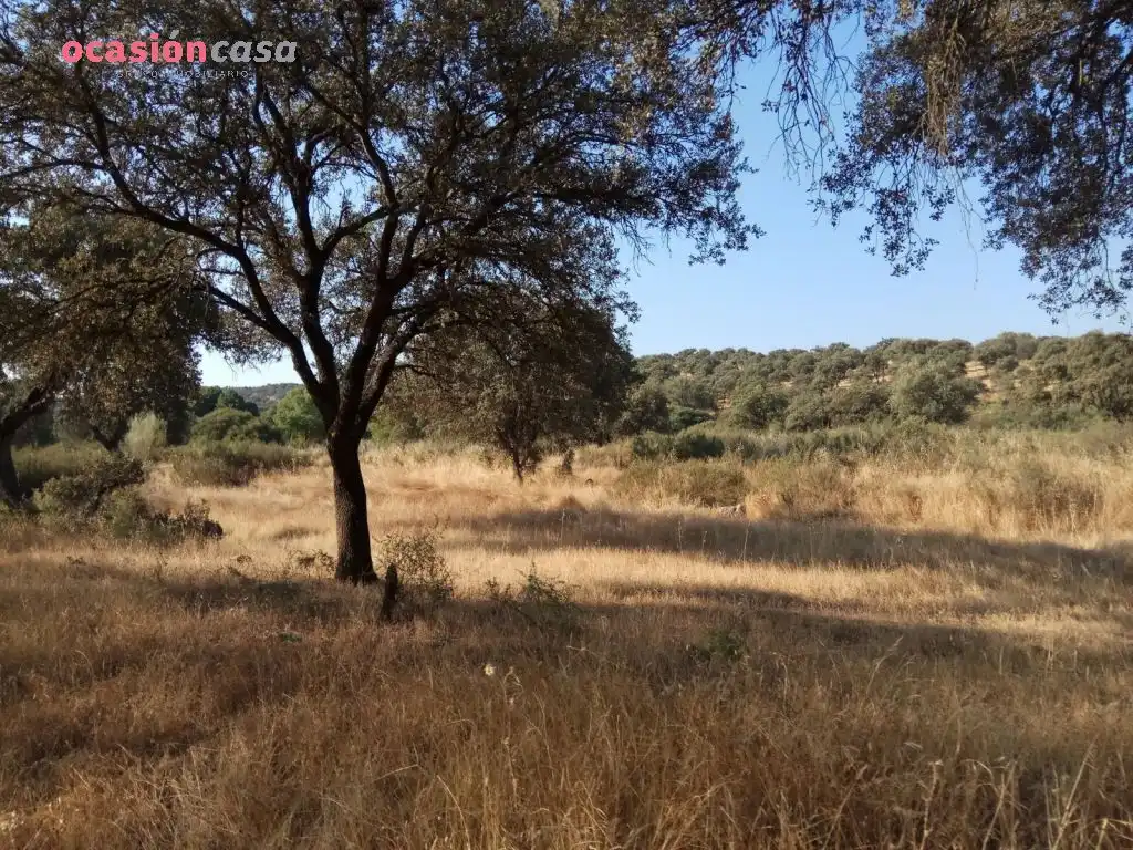 Country homes for sale in Torrecampo