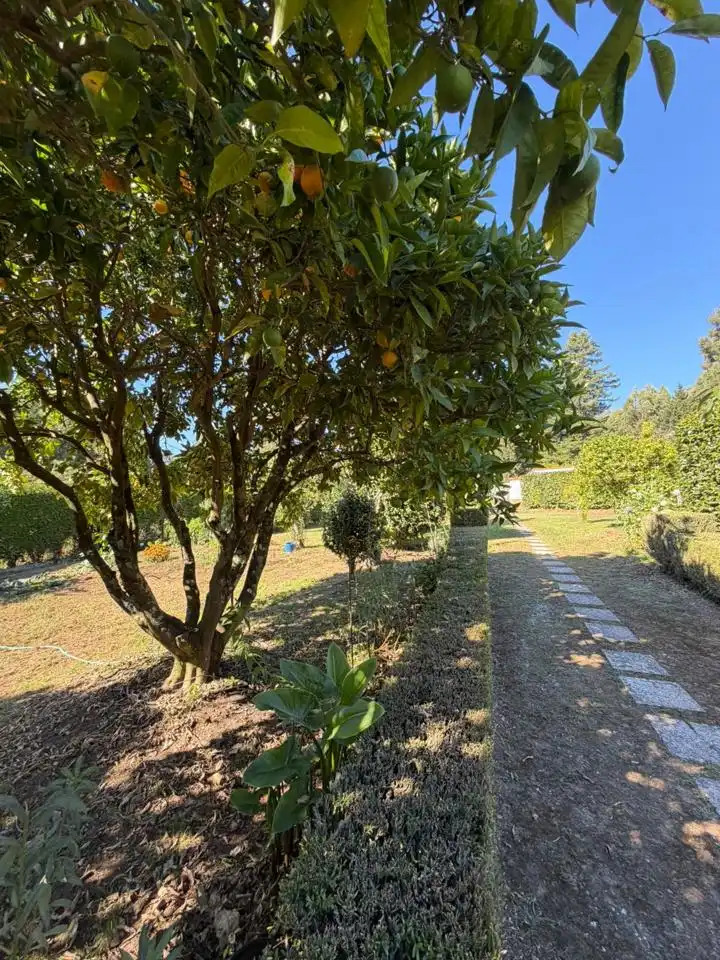 House with pool for sale in Rúa Denosiña, Oleiros, España, imagen 33