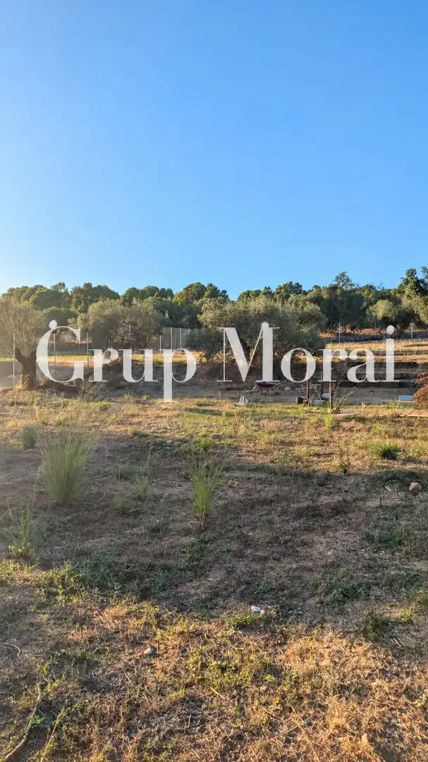 Rural land for sale in Camí del Cementiri, imagen 14