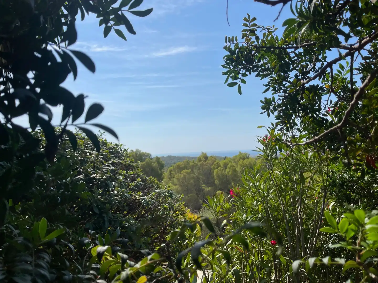 Terrenys i solars en venda a Altea la Vella, imagen 8