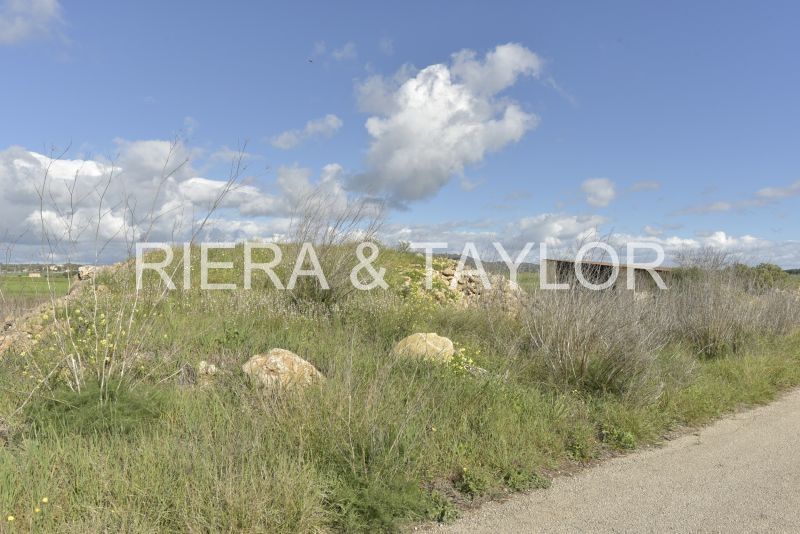 Finca rústica en venda en Vilafranca de Bonany