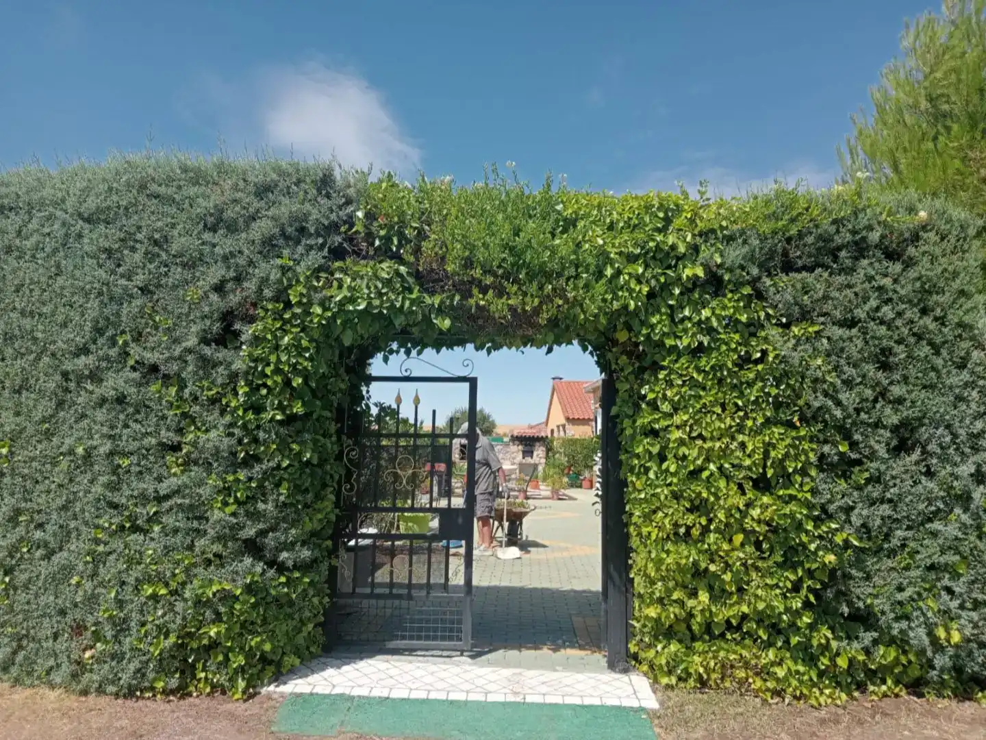 Jardí de Casa o xalet en venda en Morille amb Calefacció, Jardí privat i Traster
