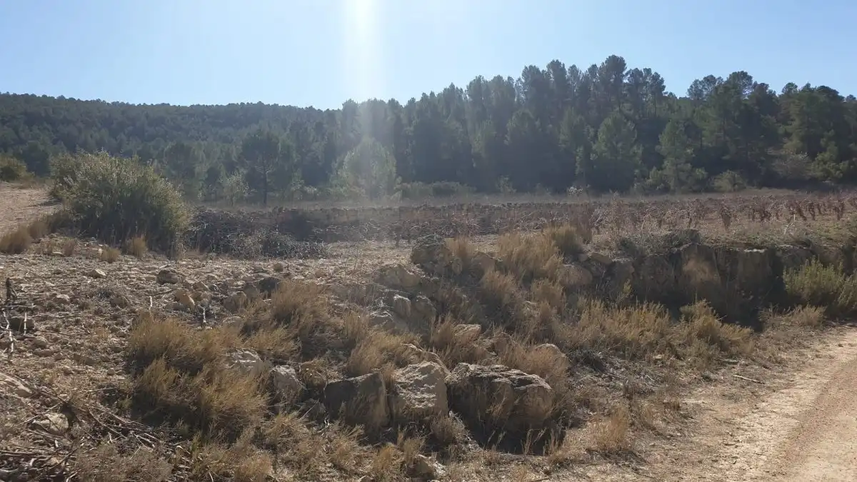 Terrain résidentiel à vendre à Requena, imagen 9